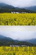 九游阴阳师下载安卓-阴阳师安卓版下载指南，九游平台助你轻松获取